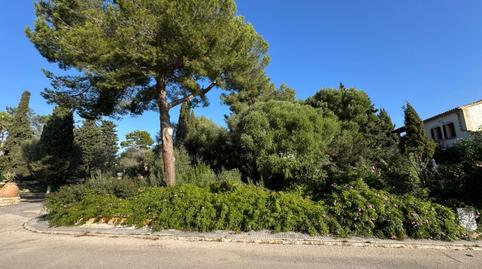 Photo 2 of Land for sale in Bacarés - Manresa  - Bonaire, Illes Balears