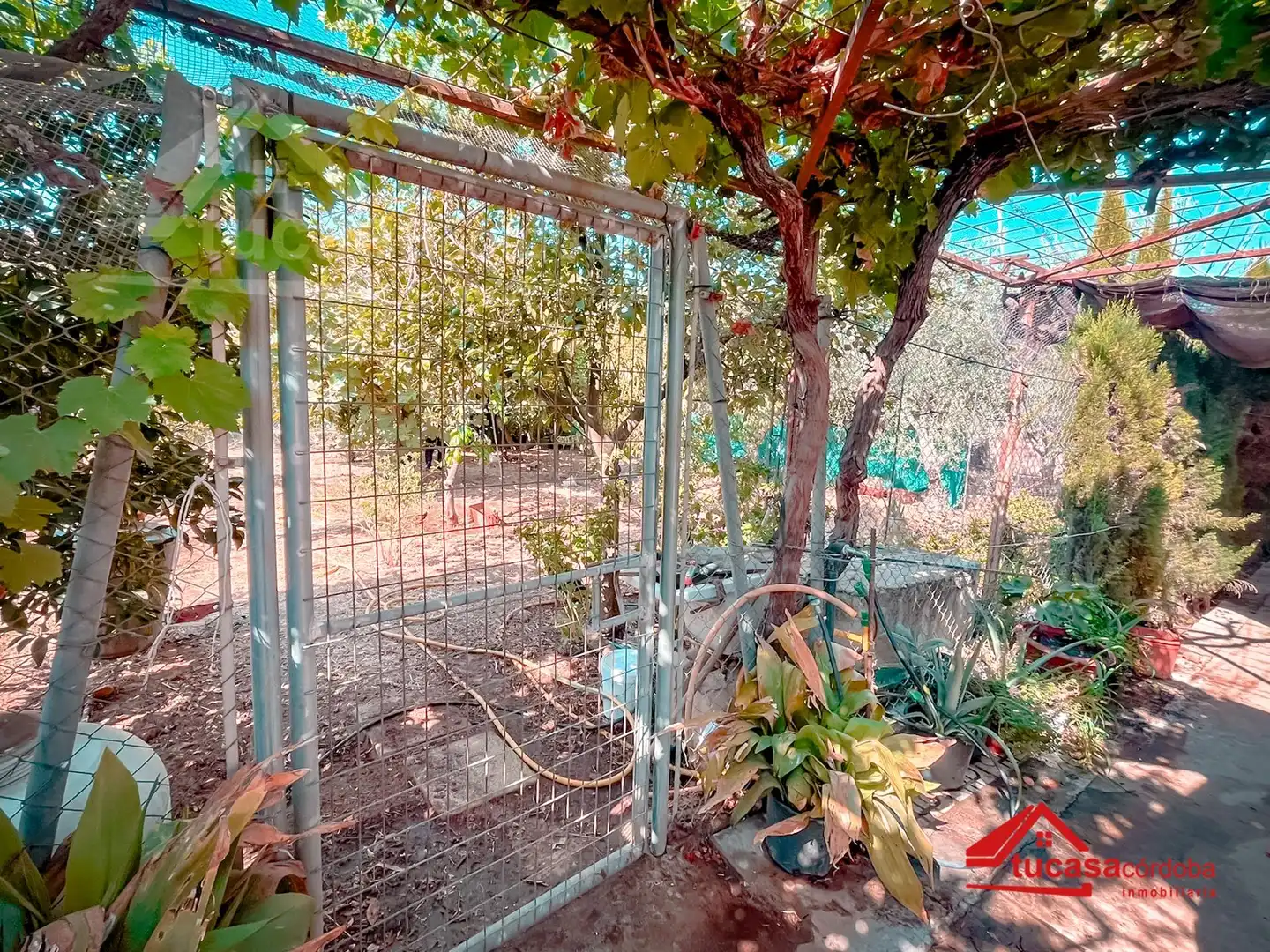 Maison rustique avec piscine à vendre à Periurbano Oeste - Sierra, imagen 22