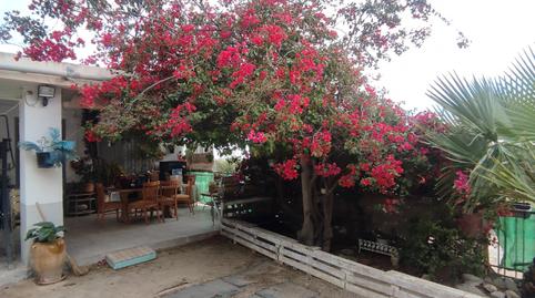 Foto 4 de Finca rústica de lloguer a Jubalcoi, Elche / Elx
