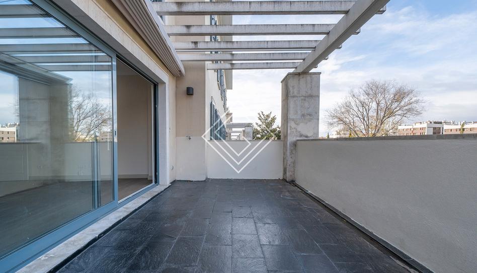 Photo 1 of Flat to rent in Aravaca, Madrid