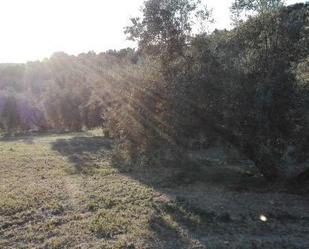 Finca rústica en venda en Villanueva de Tapia