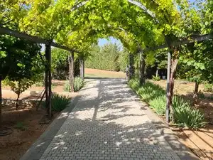Villa mit Pool zum Verkauf in Villarrobledo, imagen 53
