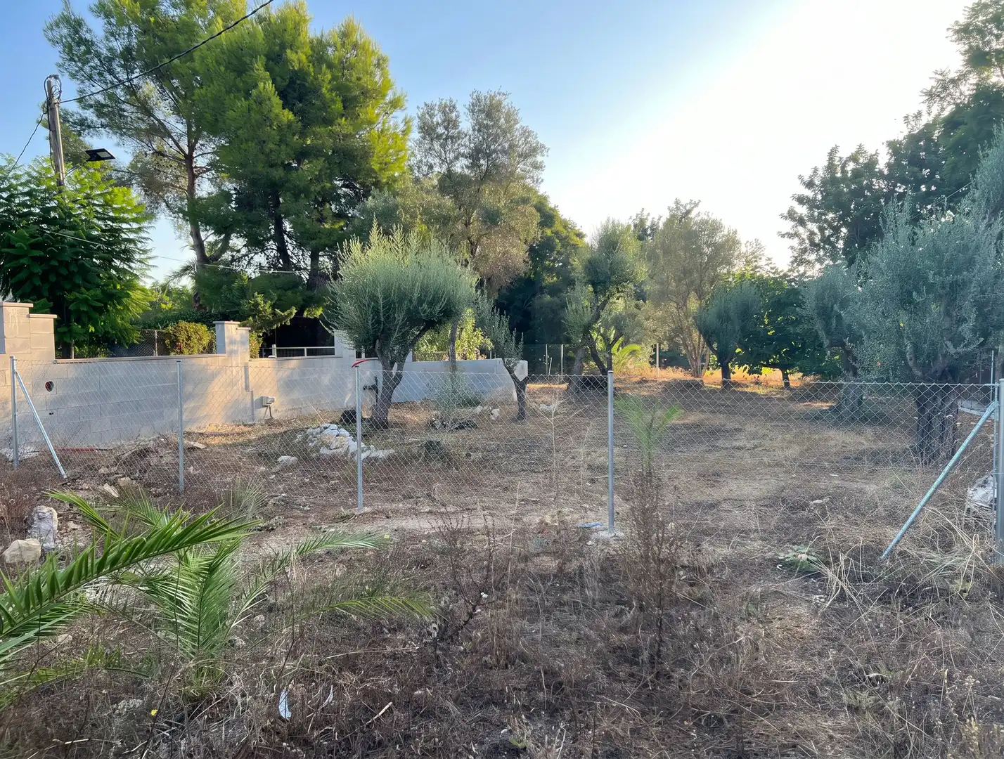 Terreny residencial en venda a Beniarbeig, imagen 2