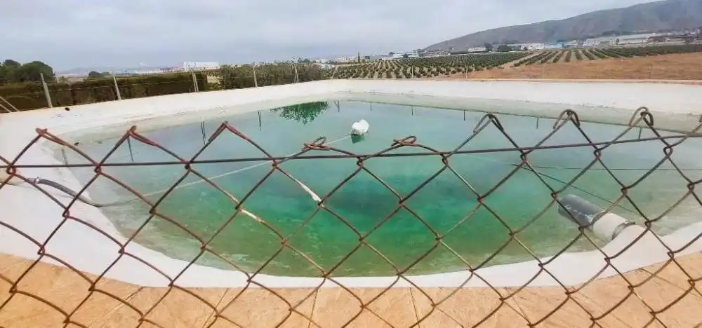 Piscina de Finca rústica en venta en Cieza con Aire acondicionado, Calefacción y Terraza