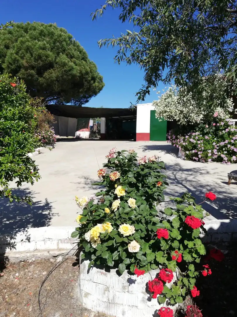 Maison avec piscine à vendre à madroñal, imagen 19