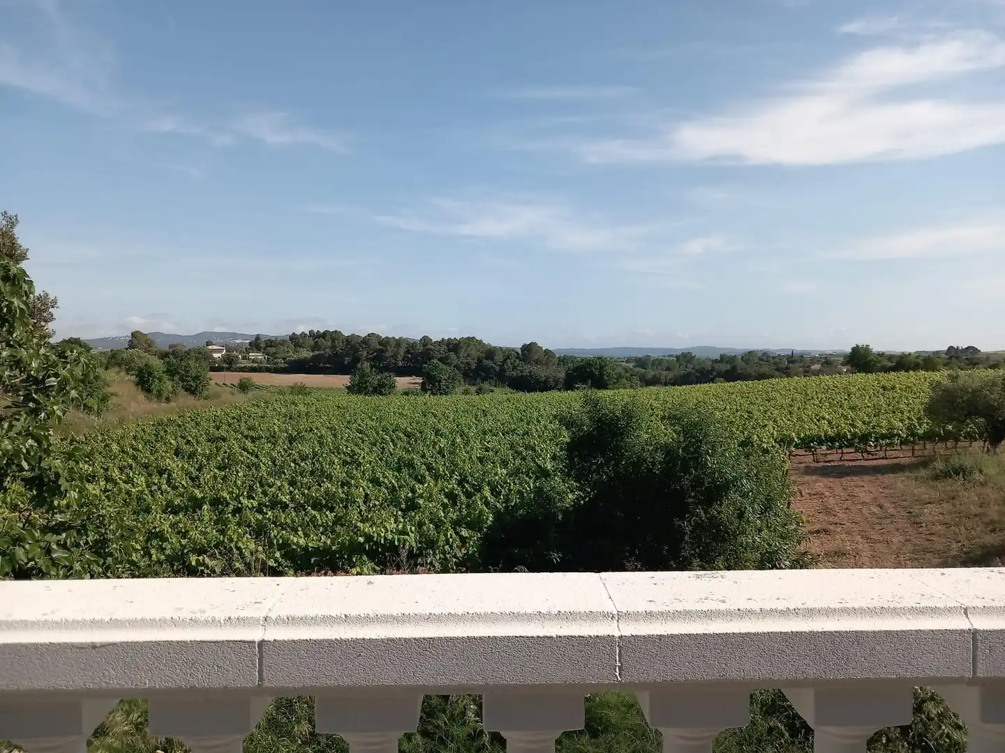 Haus mit Terrasse zur Miete in Pacs del Penedès, imagen 69