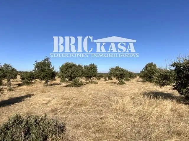 Grundstücke und Bauplätze zum Verkauf in Arroyo de la Luz, imagen 7