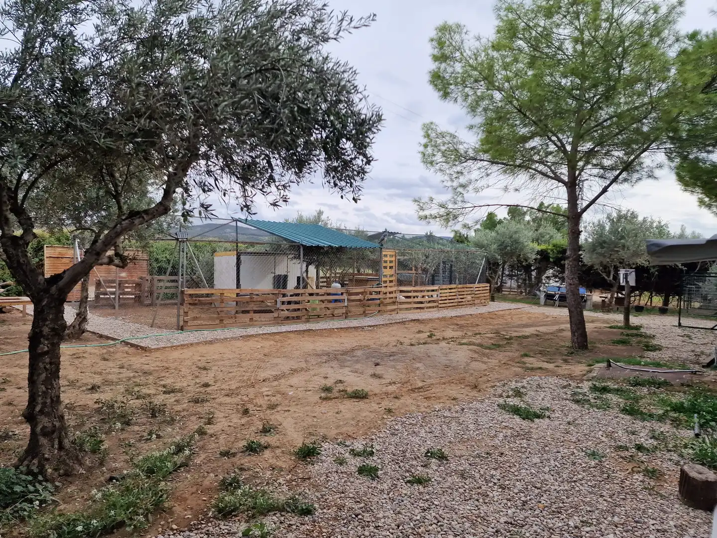 Casa rústica en venda a Calle Baja Azotea, imagen 5