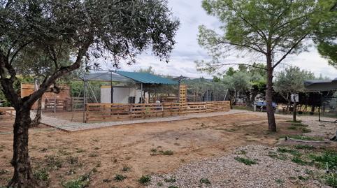 Foto 5 de Finca rústica en venda a Calle Baja Azotea, Morata de Tajuña, Madrid