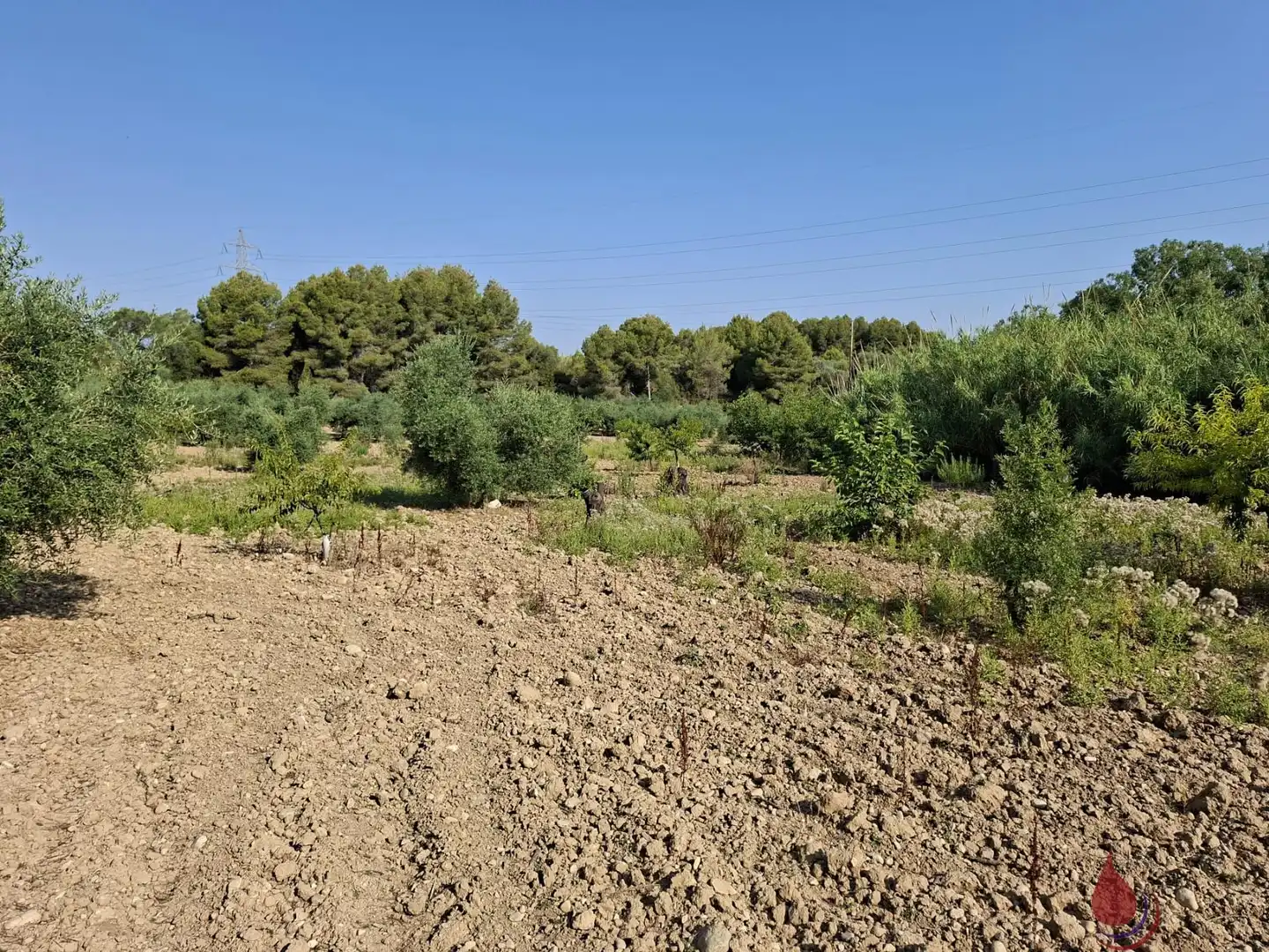 Terrenys i solars en venda a L'Arboç, imagen 2