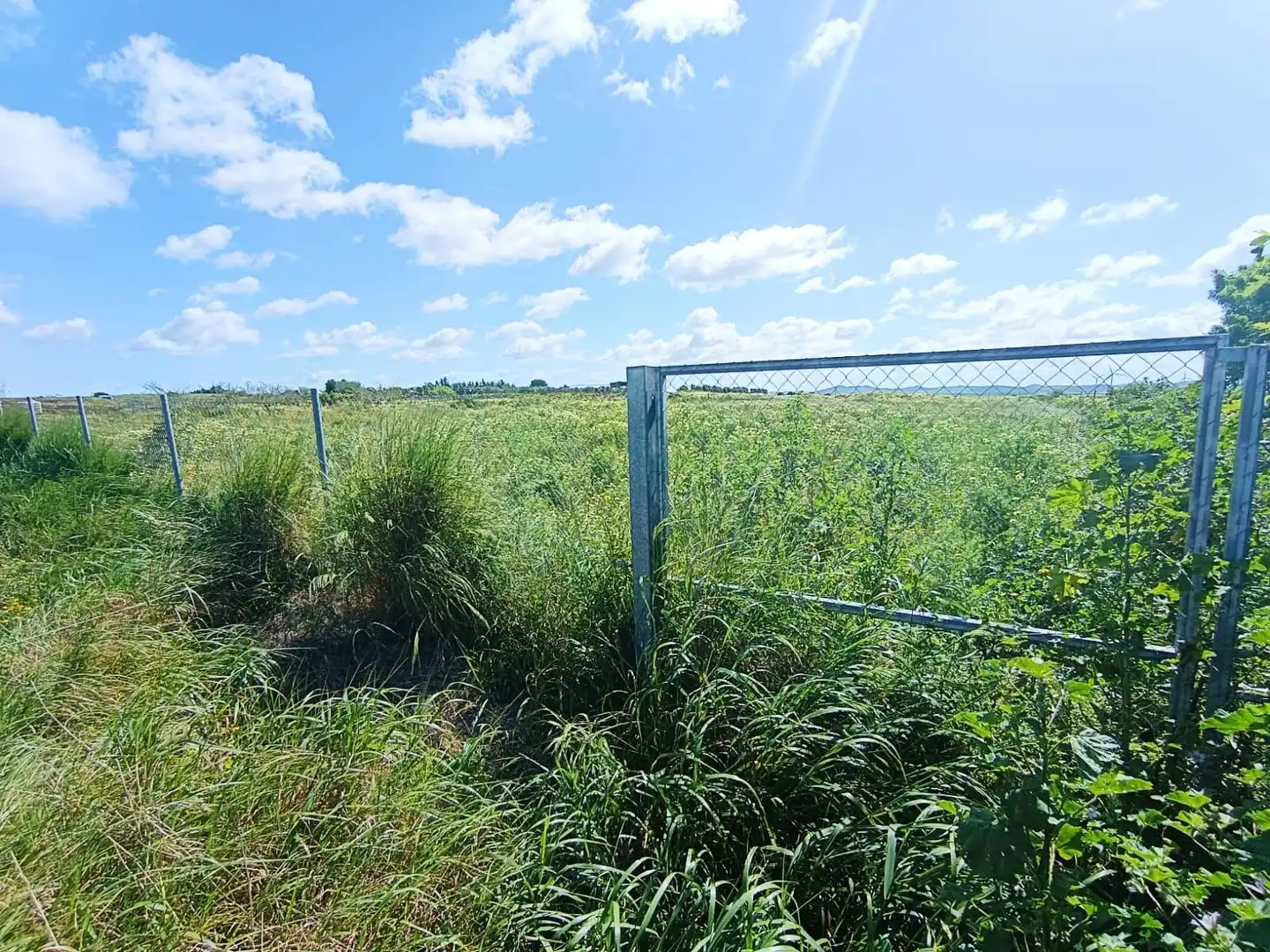Terreno residenziale in vendita a Los Franceses – La Vega, imagen 2