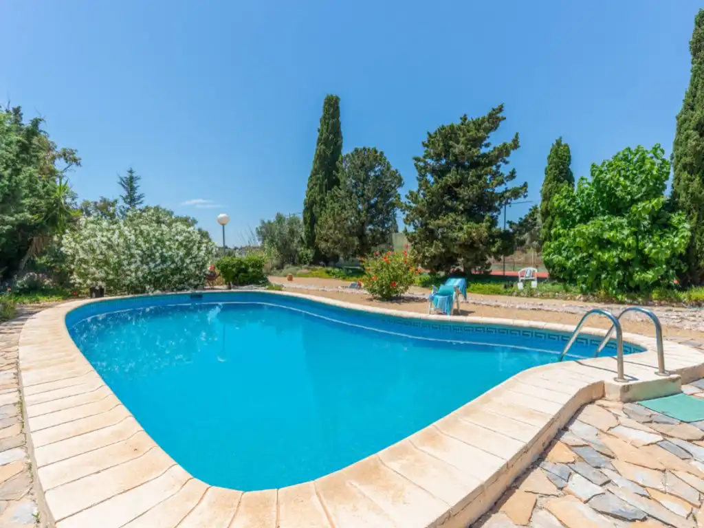 Piscina de Casa o xalet en venda en San Vicente del Raspeig / Sant Vicent del Raspeig amb Piscina