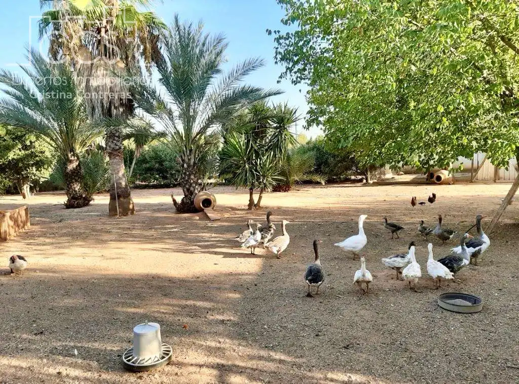 Jardín de Finca rústica en venta en Alcalá de Guadaira con Piscina y Amueblado