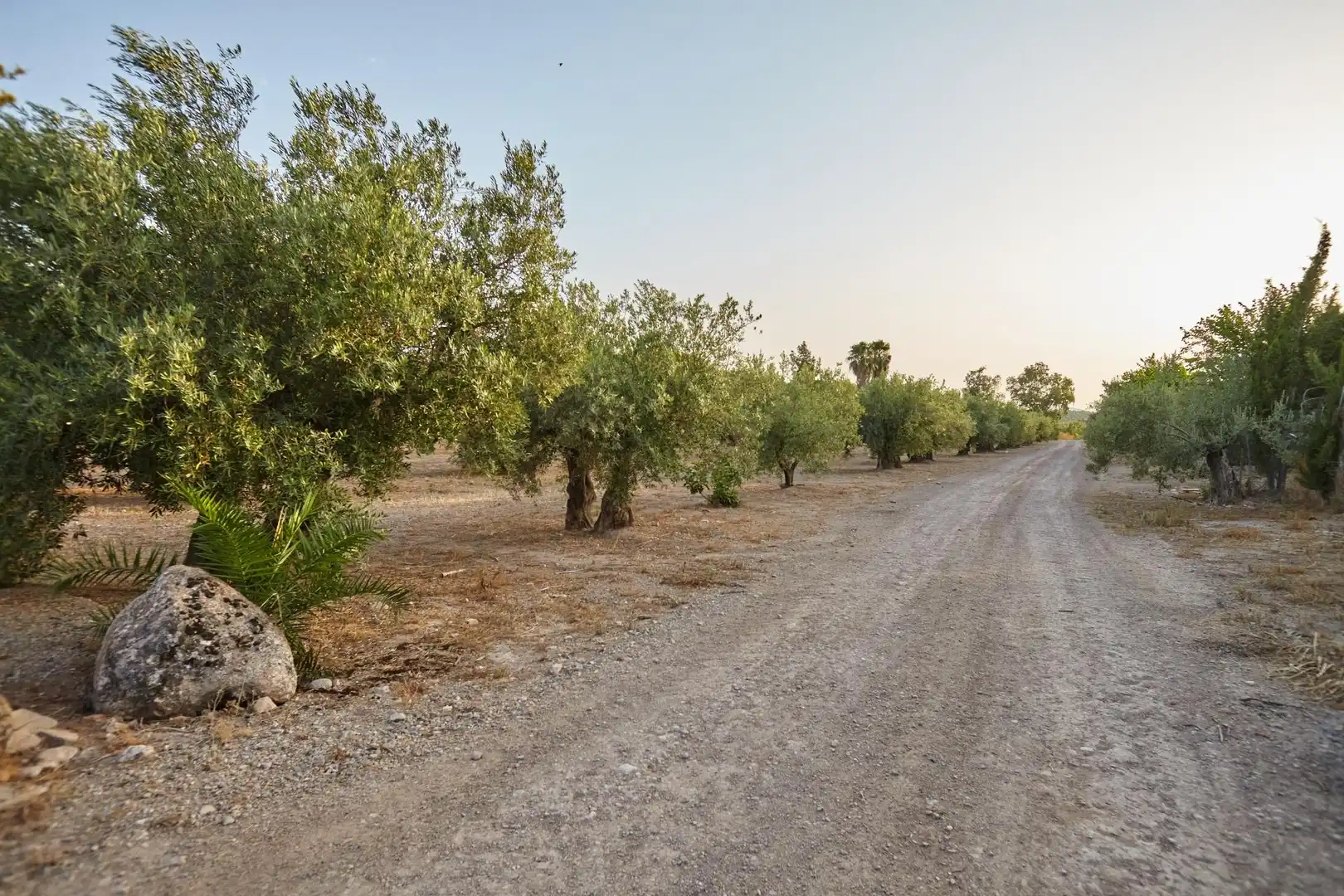 Finca rústica en venta en Jaén con Aire acondicionado, Jardín privado y Terraza