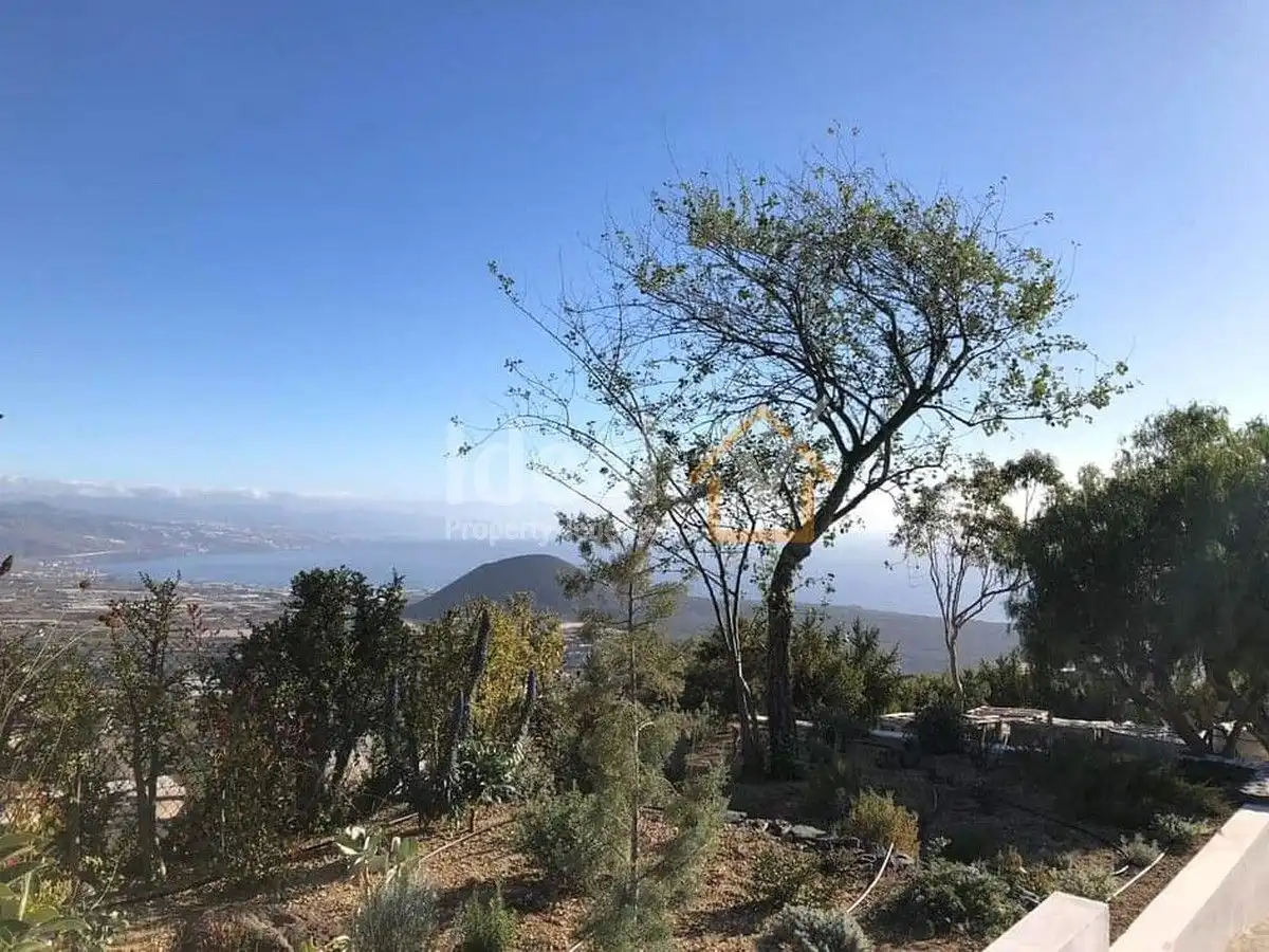 Houses for sale in Güímar  with Private garden, Terrace and Swimming Pool