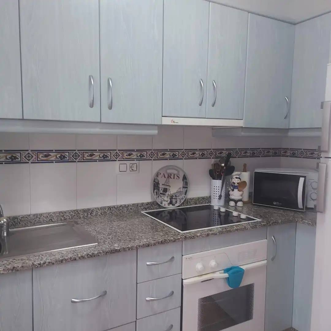 Kitchen of Detached homes for rent in Pilar de la Horadada
