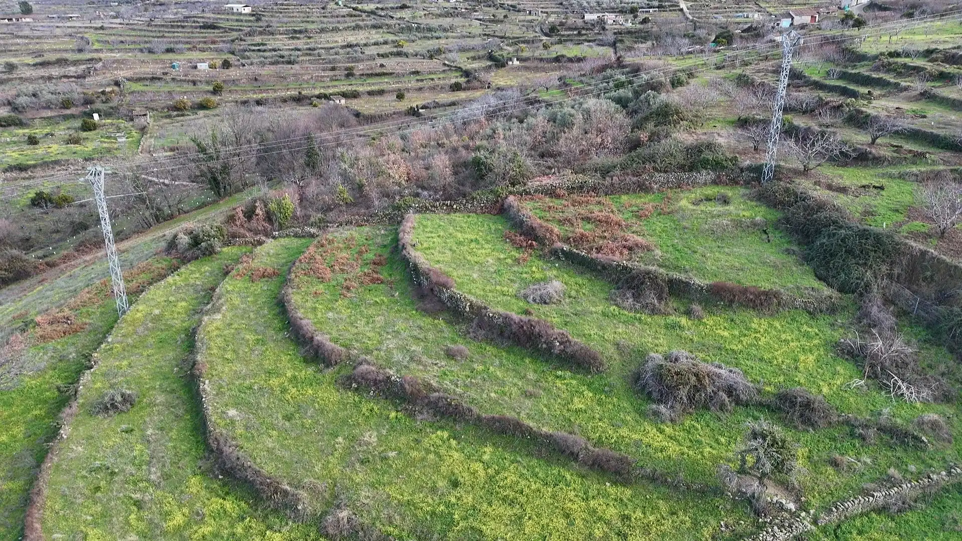 Land for sale in Casas del Castañar