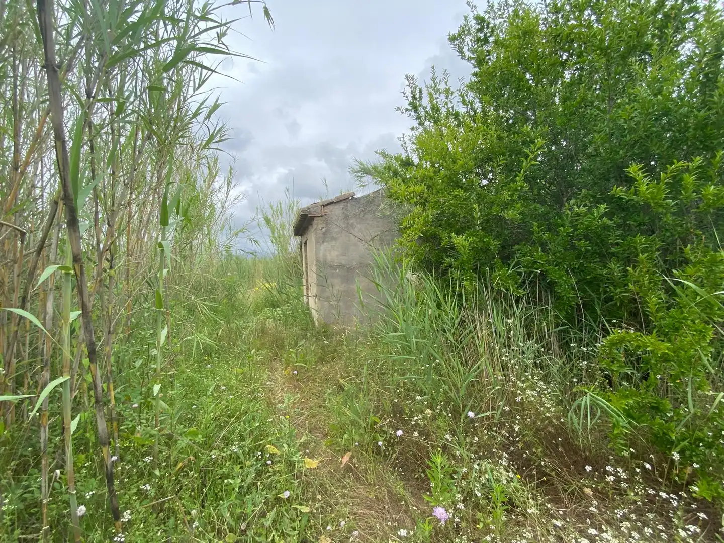 Terrain rustique à vendre à Carrer de Fra Humild Soria 6