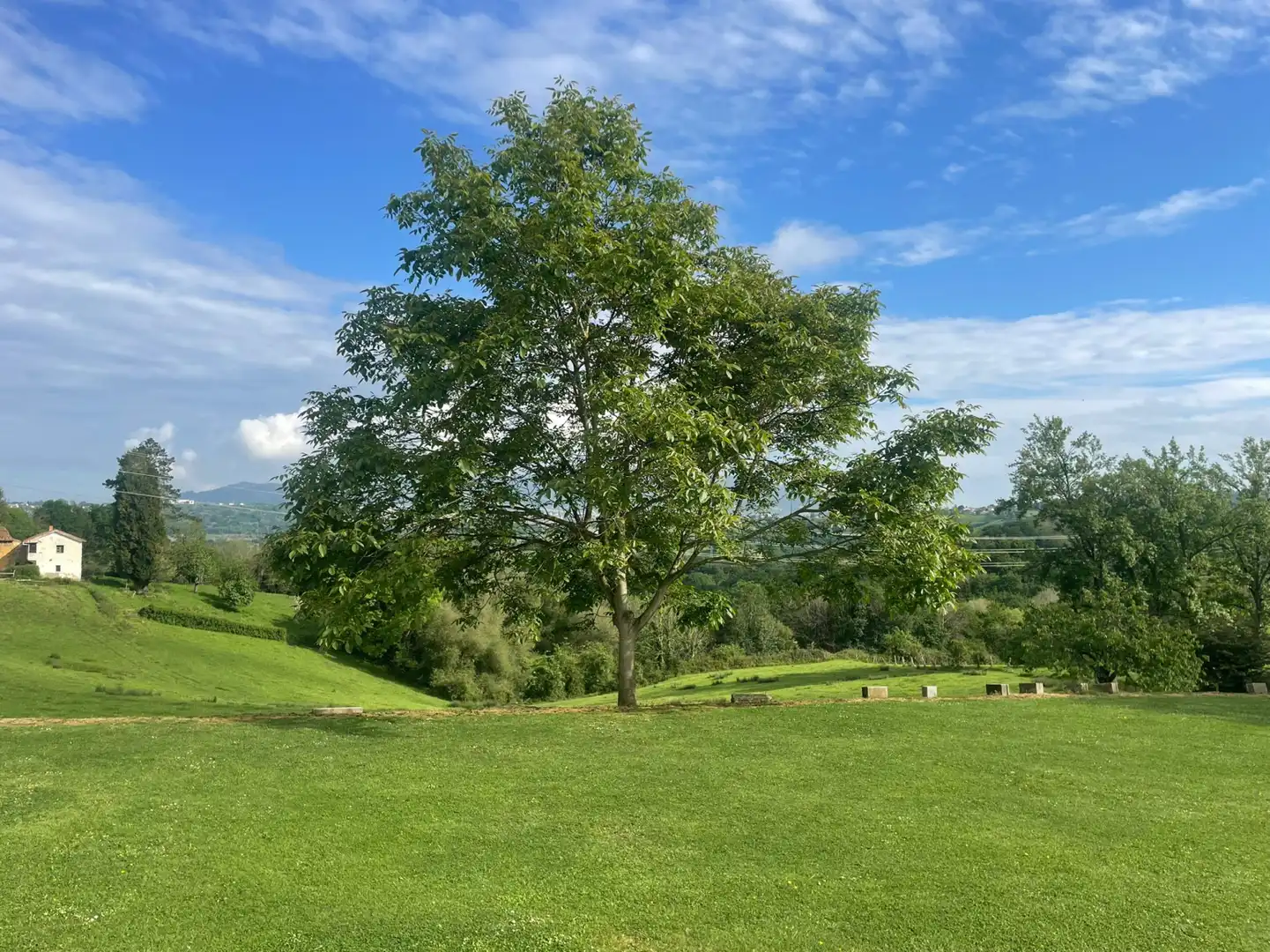 Casa o xalet en venda en Oviedo  amb Calefacció, Jardí privat i Parquet
