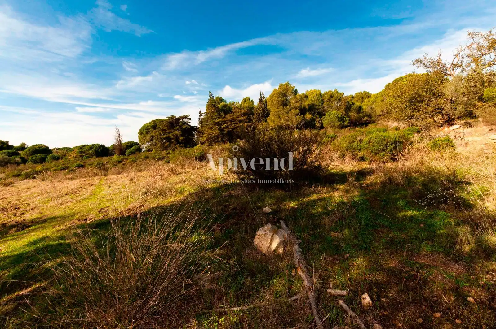 Rural land for sale in Molí de Vent