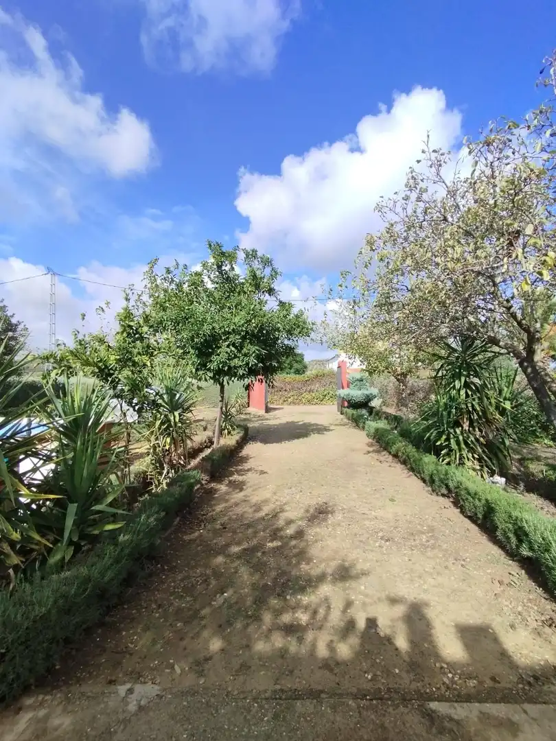 Jardín de Casa o chalet en venta en Valverde de Mérida con Trastero, Piscina y Amueblado