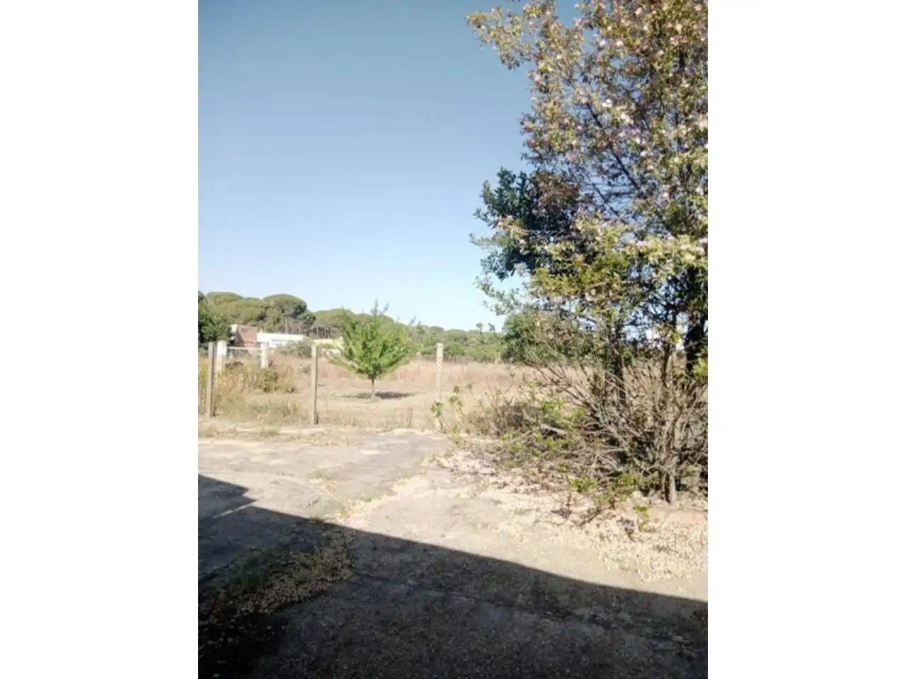 Residencial en venta en Bonares