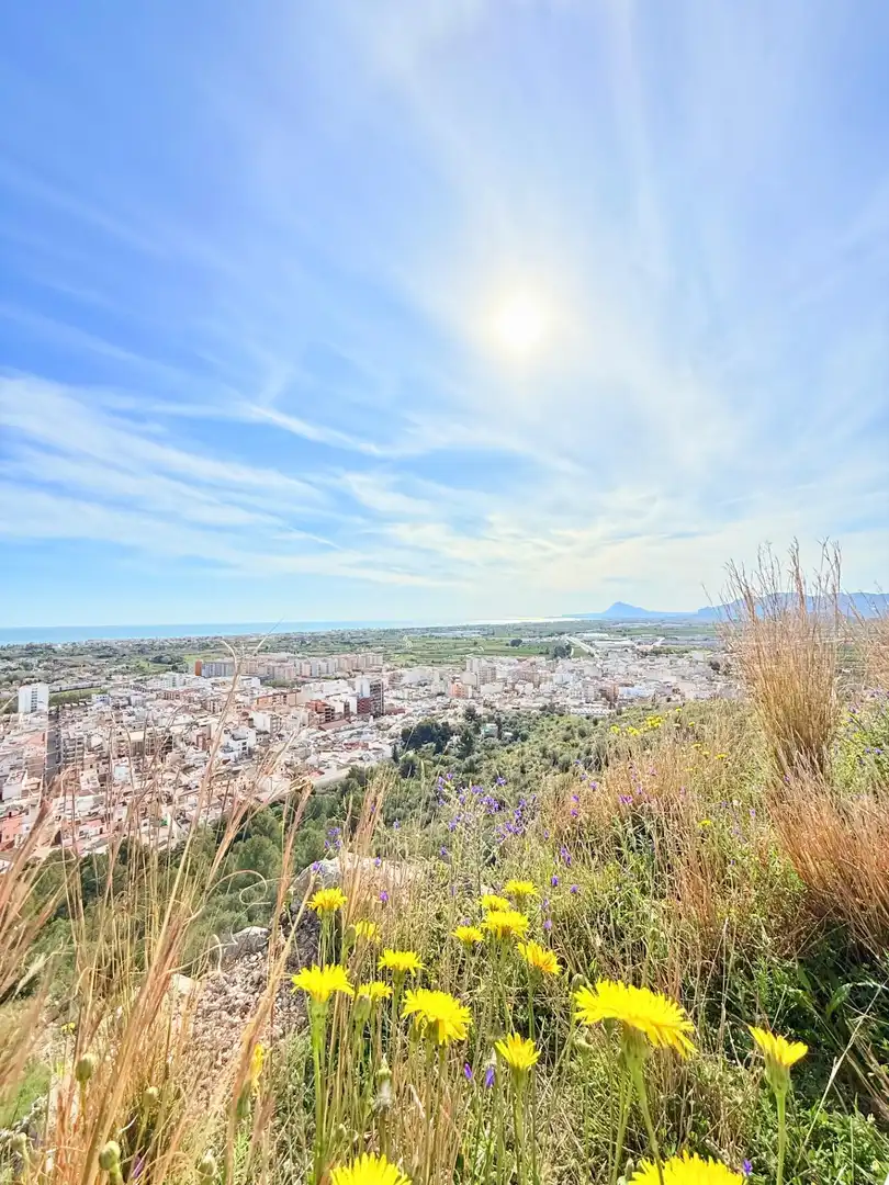 Vista exterior de Casa o xalet en venda en Oliva amb Aire condicionat, Jardí privat i Terrassa