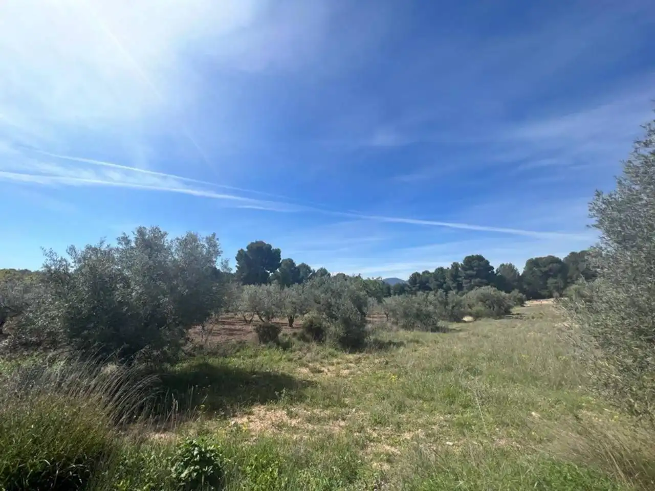 Chalet con jardín en venta en Calle Poligono, imagen 178