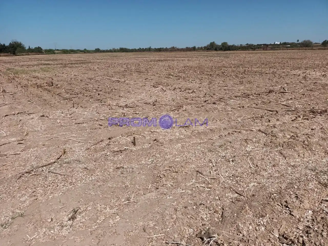 Lands and plots for sale in carretera, imagen 12