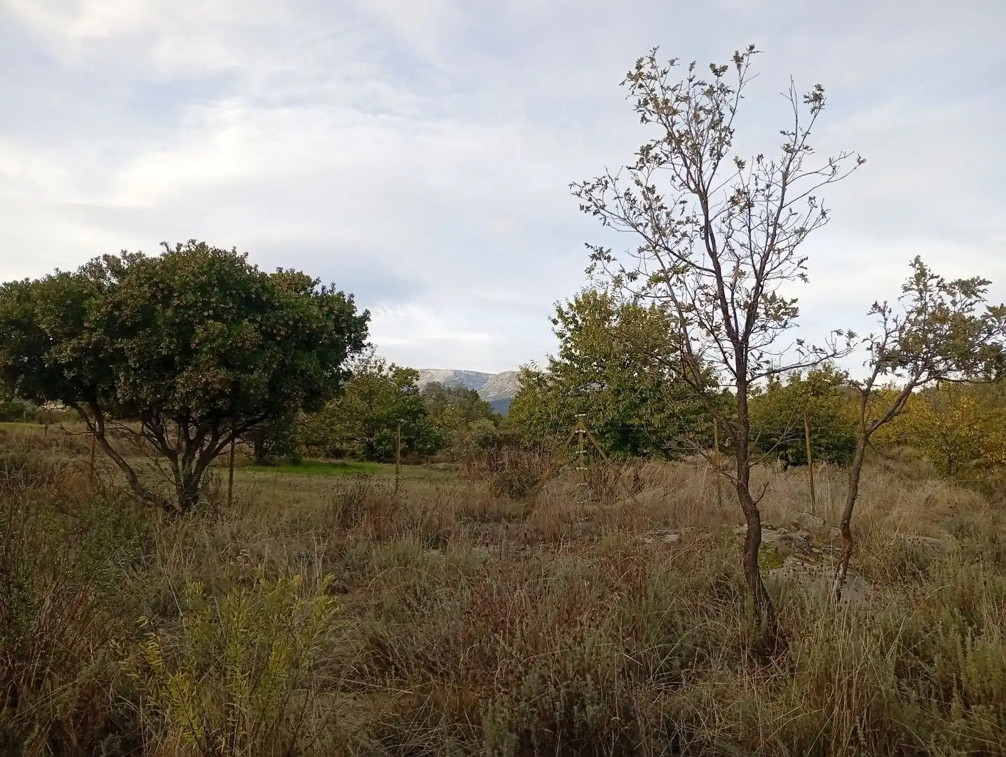 Terreni e lotti in vendita a Villanueva de la Vera, imagen 56