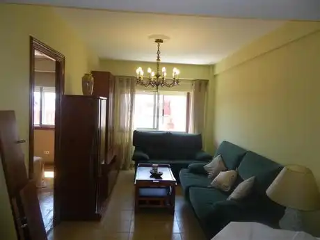Sala de estar de Piso de alquiler en Vigo  con Calefacción, Parquet y Amueblado