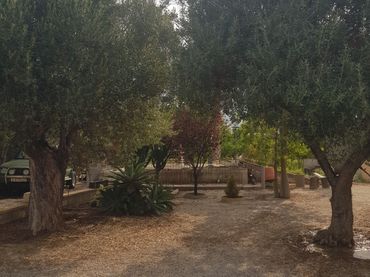 Terrenys i solars en venda a El Secanet - Hacienda del Sol