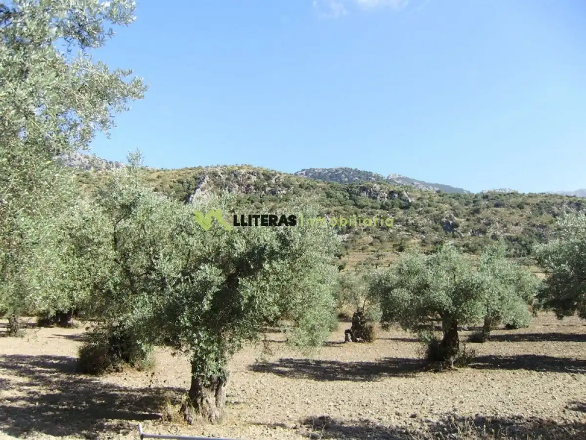 Country house for sale in Bunyola, imagen 9