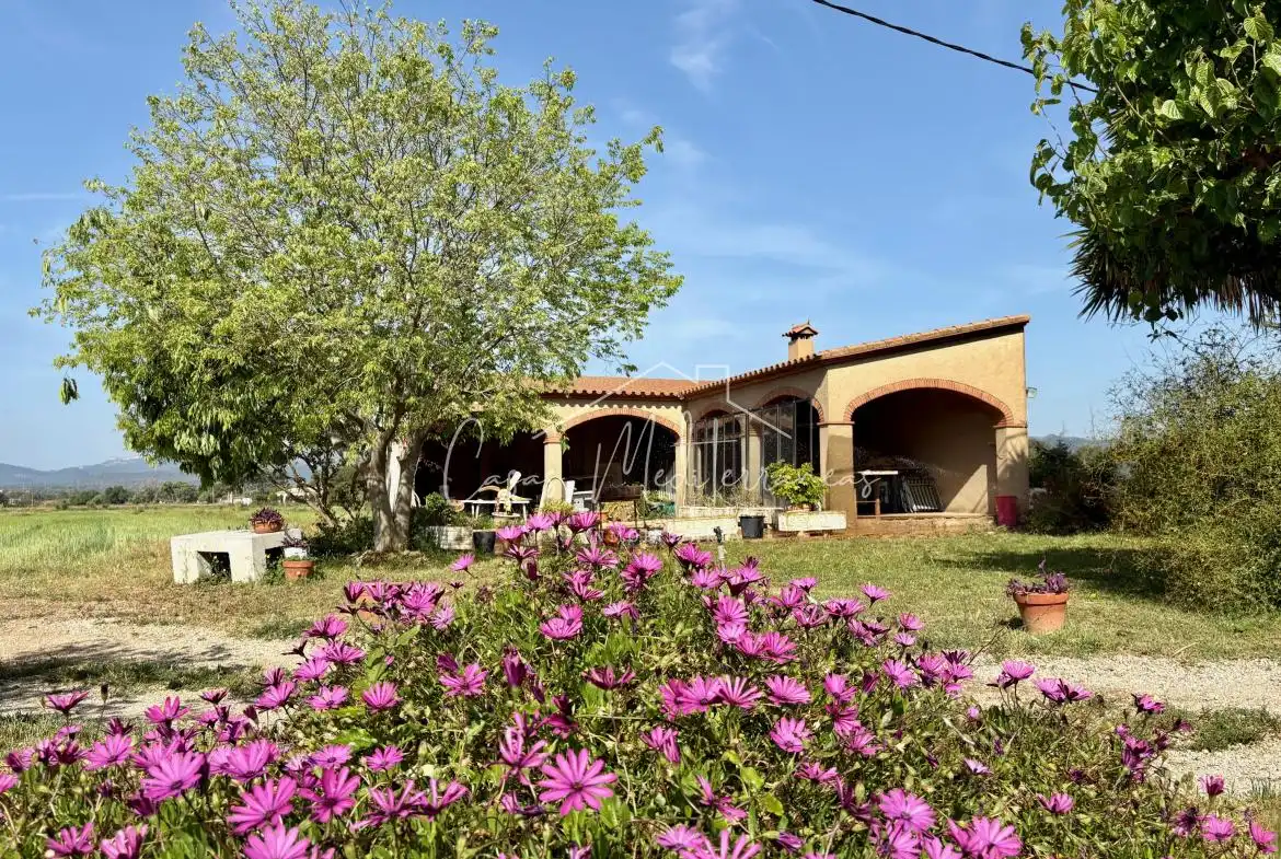 Terreny rústic en venda a Ardiaca - La Llosa