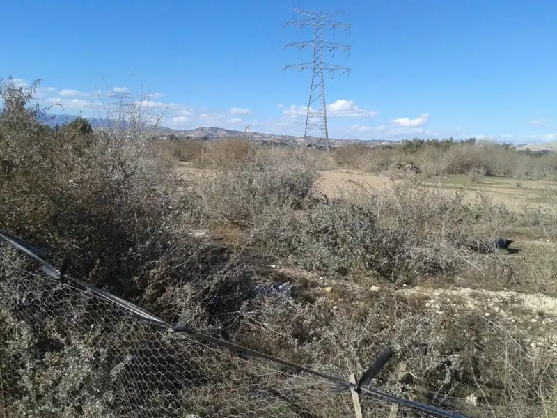 Terreny rústic en venda a Cm Paso de los Carros, imagen 8