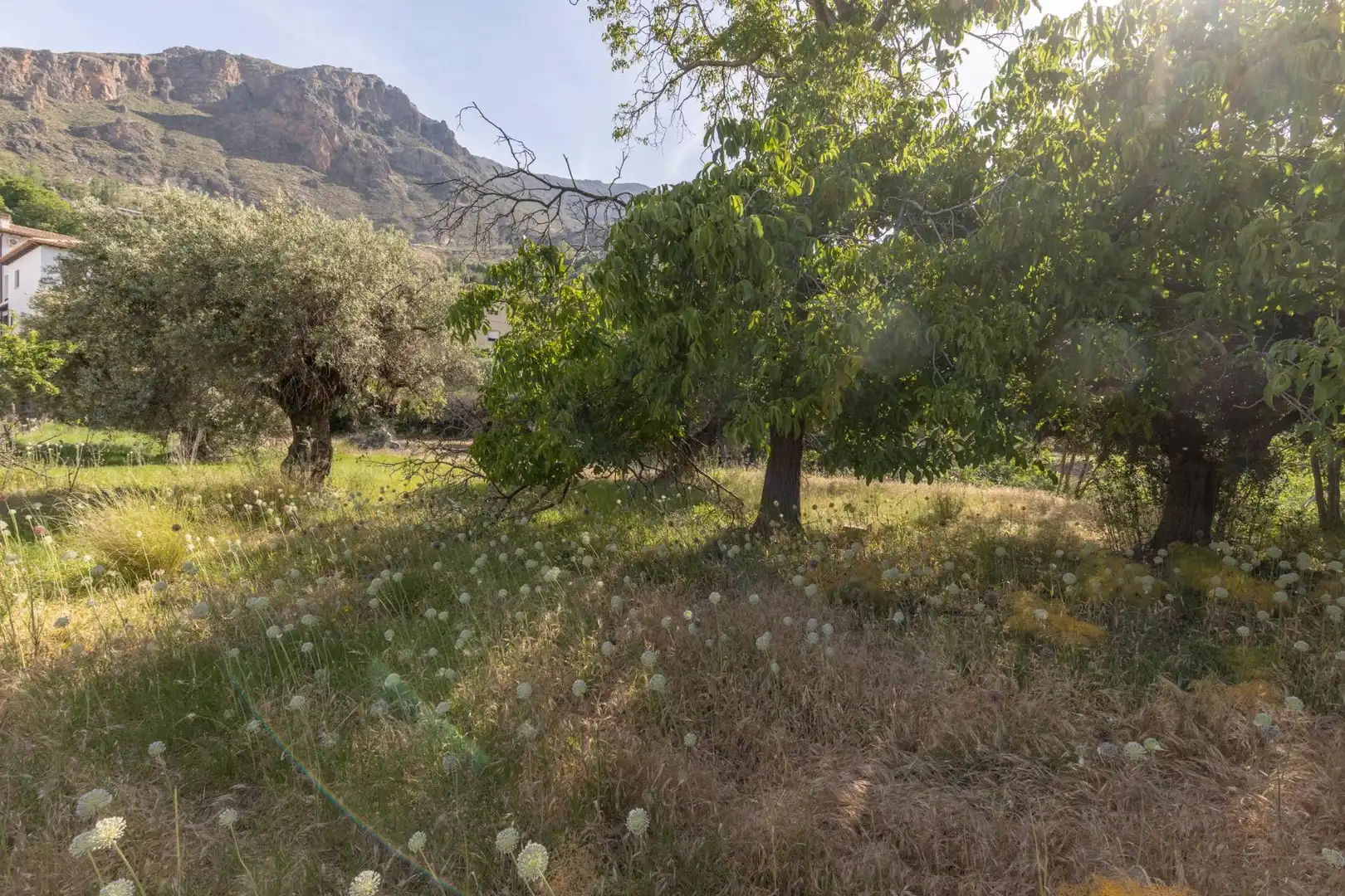 Lands and plots for sale in Carretera de Maitena, imagen 19