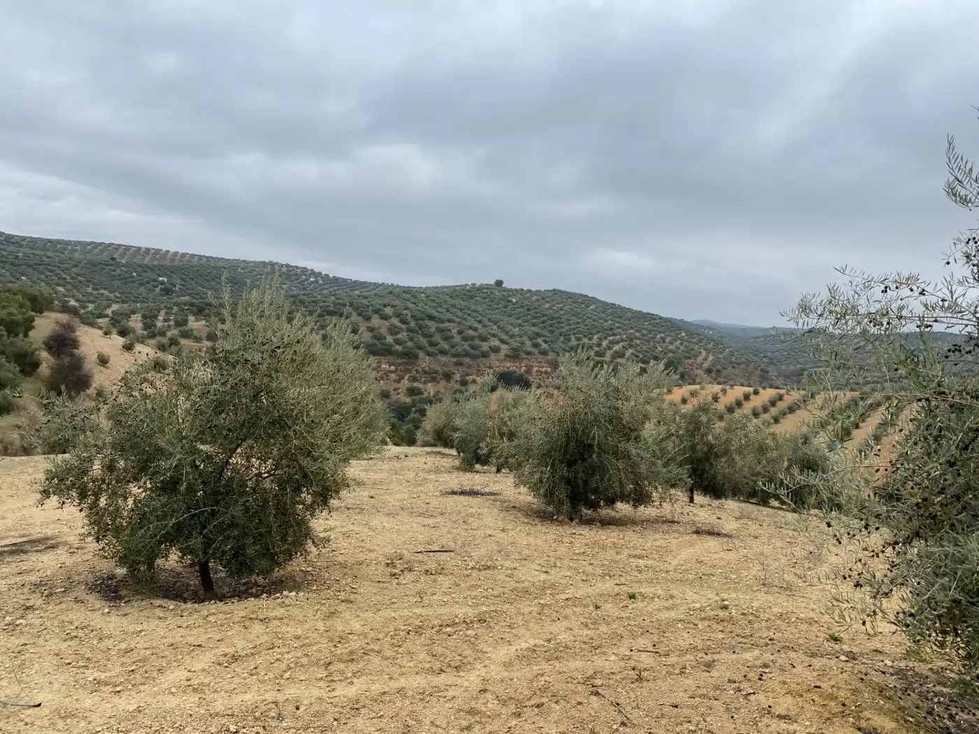 Casa rustica in vendita a Huétor Tájar, imagen 58