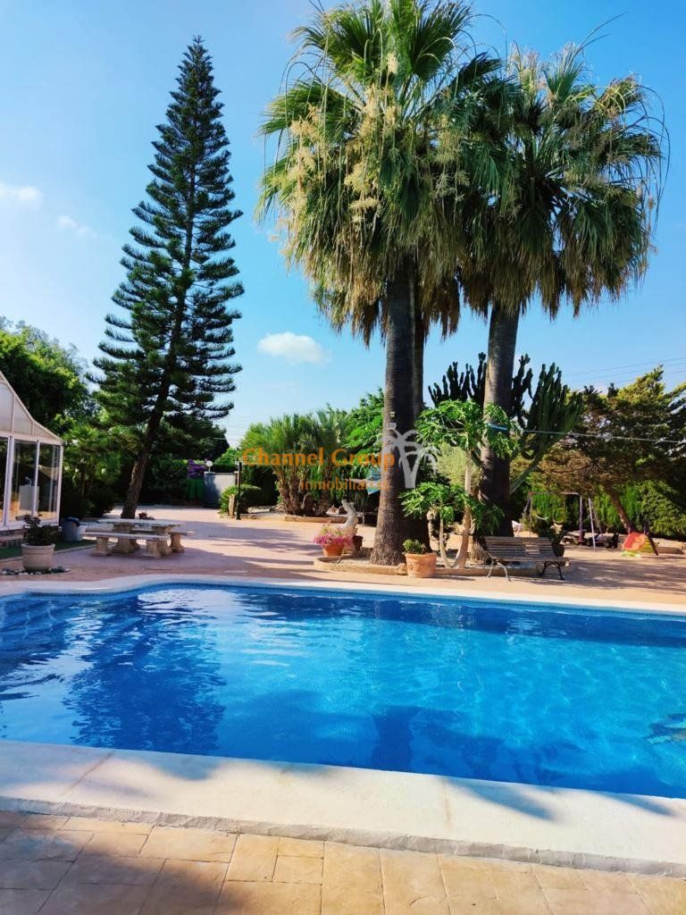Piscina de Casa o xalet en venda en Elche / Elx amb Piscina