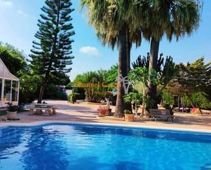 Piscina de Casa o xalet en venda en Elche / Elx amb Piscina