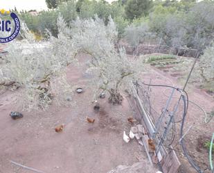 Jardí de Casa o xalet en venda en Albalat dels Tarongers amb Calefacció, Terrassa i Traster