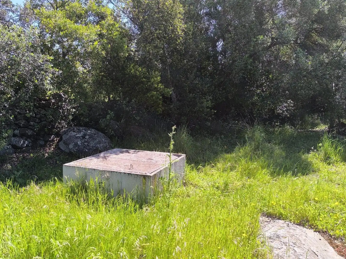 Terreni e lotti in vendita a Urbanizacion la Colinas, imagen 7