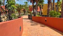 Vista exterior de Pis en venda en La Oliva amb Aire condicionat, Terrassa i Piscina comunitària