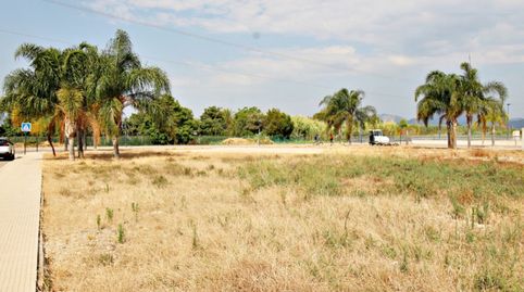 TERRENO URBANO EN PLAYA MIRAMAR, immagine 3