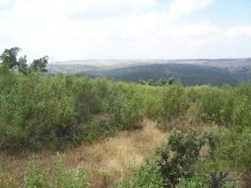 Terreni e lotti in vendita a Alcántara, imagen 23