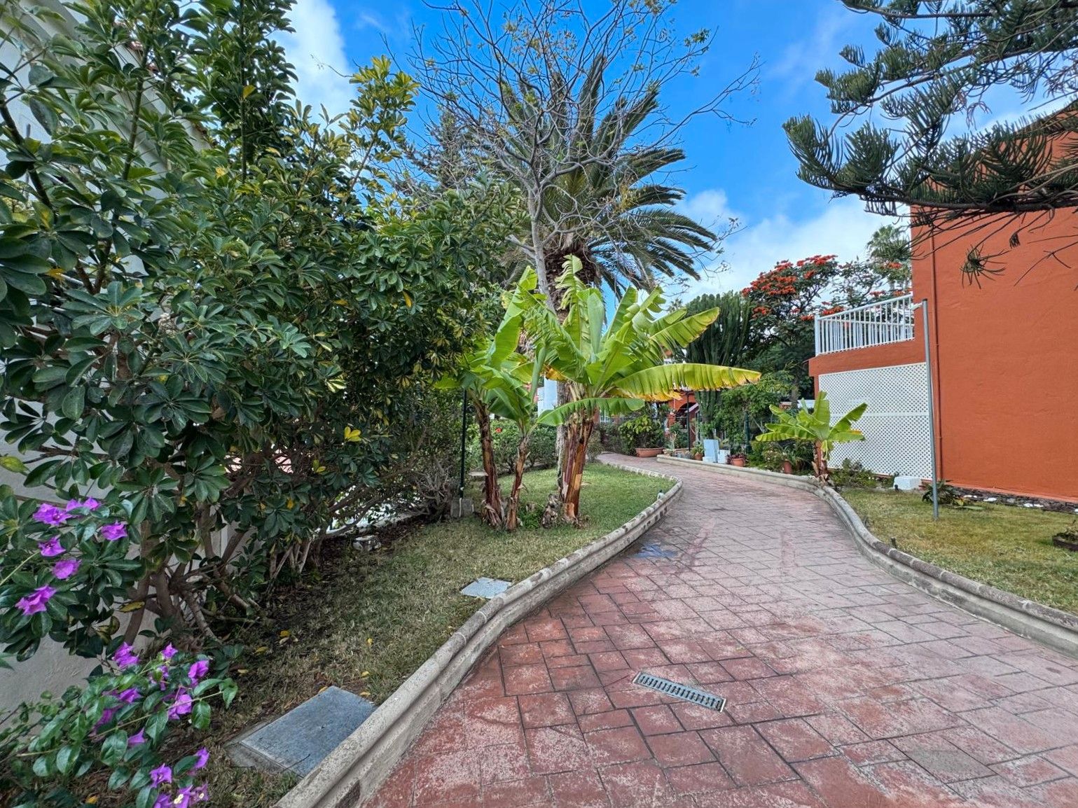 House or chalet to rent in Calle Doctor Agustín Millares Carlo, 5, Sonnenland