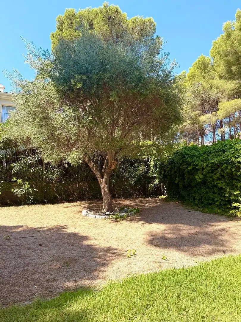 Casa in vendita a Torre Valentina - Mas Vilar de La Mutxada - Treumal, imagen 37