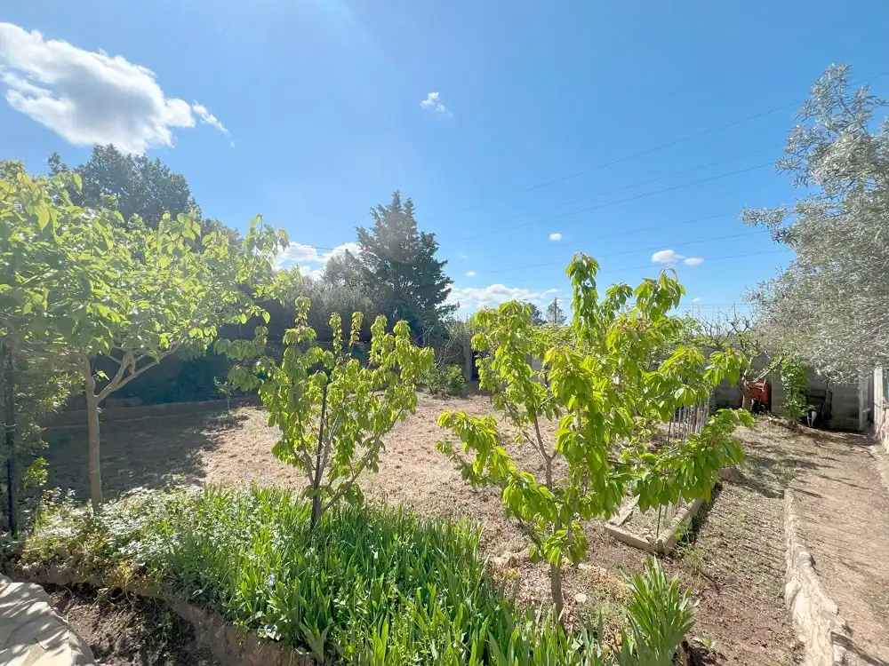 Casa o chalet en venta en Cabra del Camp con Terraza, Trastero y Amueblado
