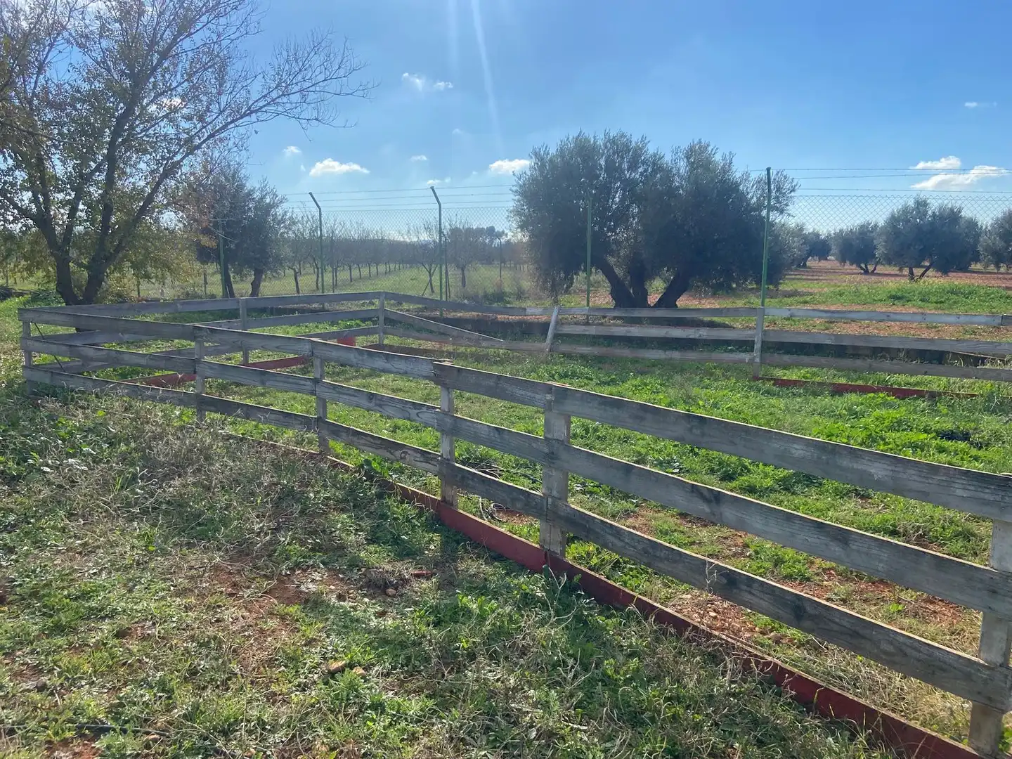 Casa o chalet en venta en Almagro con Aire acondicionado, Calefacción y Jardín privado