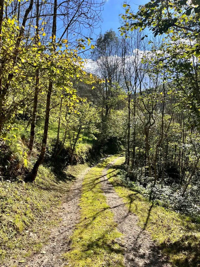 Exterior view of Land for sale in Molló