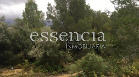 Foto 5 de Finca rústica en venta en Oliva Playa, Oliva